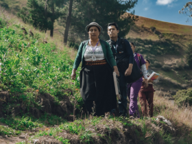 vigilantes comunitarios, vigilantes comunitarios voluntarios, ecuador, desnutricion infantil, ministerio de salud publica